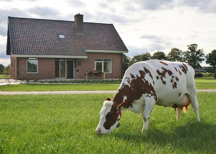 Vakantiehuis De Bonte Koe Meddo