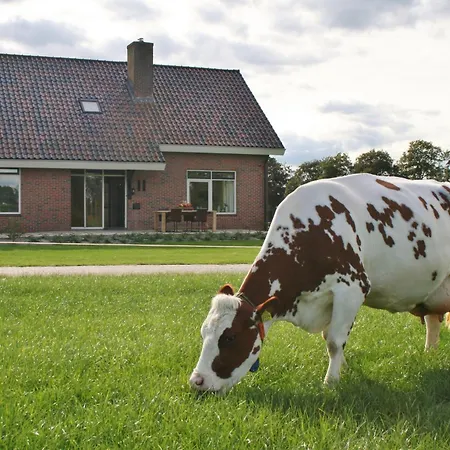 Vakantiehuis De Bonte Koe Meddo